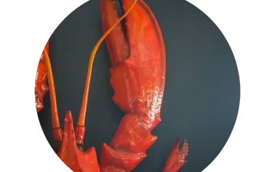 Mariscos y Cocina Mediterránea: Tradición, Sabor y Calidad en Cada Bocado