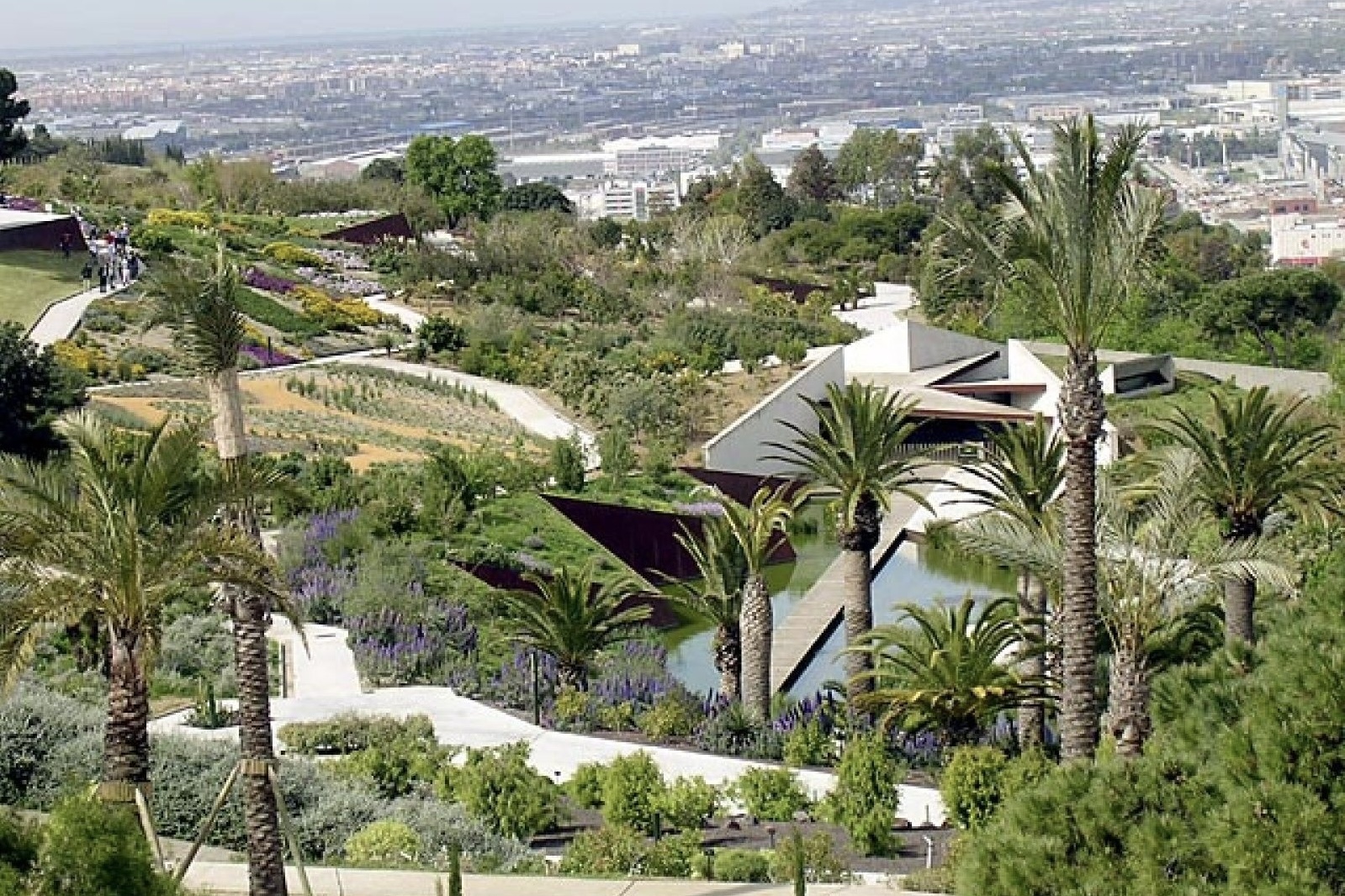 Jardín Botánico de Barcelona Jardín Botánico de Barcelona