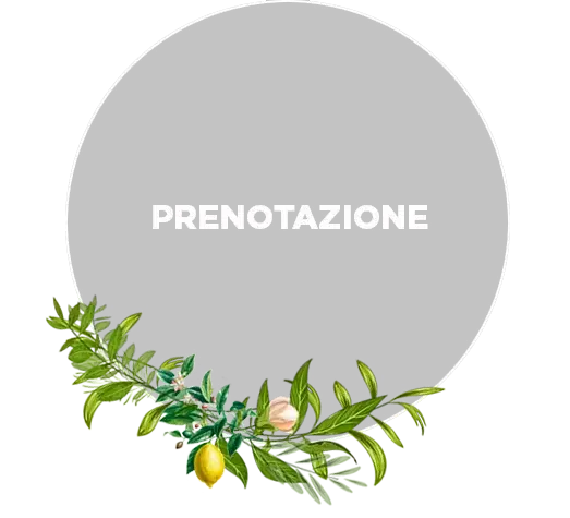 Velissima Barcelona reservar